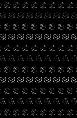 Black Cats In a Black Shirt