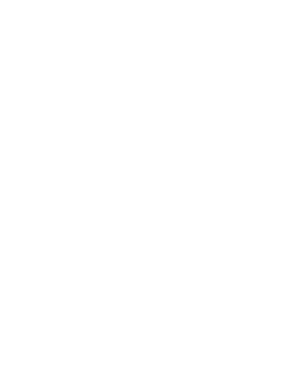 Black Cats In a Black Shirt