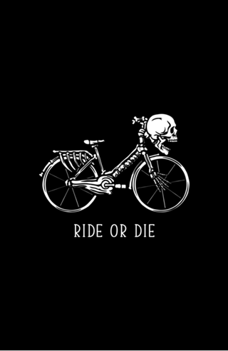 Bike Skeleton