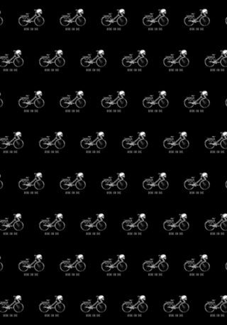 Bike Skeleton