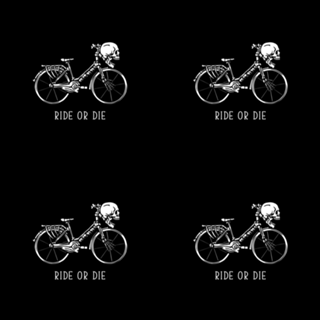 Bike Skeleton