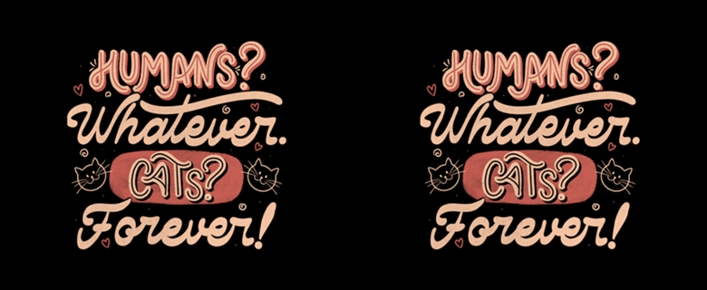 Humans Whatever Cats Forever