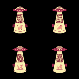 Why Did You Took So Long Alien Funny Viva Magenta