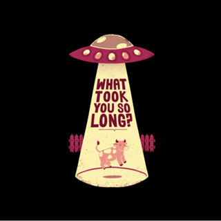 Why Did You Took So Long Alien Funny Viva Magenta