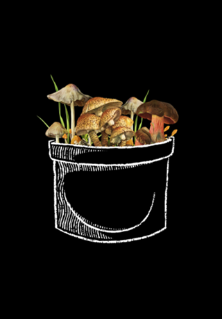 I Love Mushrooms In My Pocket