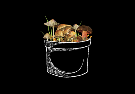 I Love Mushrooms In My Pocket