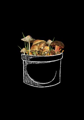 I Love Mushrooms In My Pocket