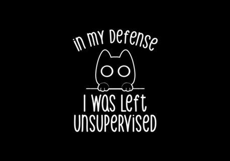 In my Defense I Was Left Unsupervised