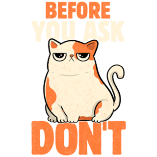 Before You Ask Don't