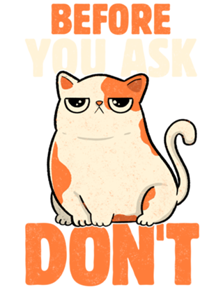 Before You Ask Don't