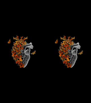 Monarch Butterfly Heart