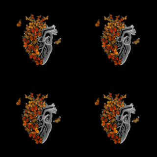 Monarch Butterfly Heart