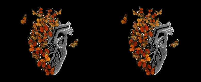 Monarch Butterfly Heart