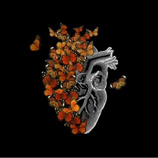 Monarch Butterfly Heart