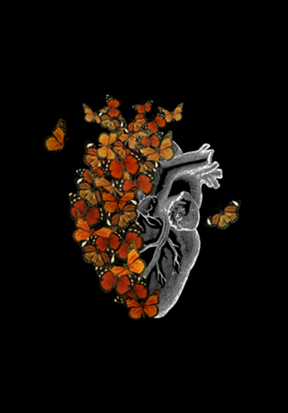 Monarch Butterfly Heart