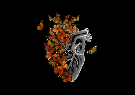 Monarch Butterfly Heart