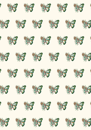 Nature Butterfly Metamorphosis