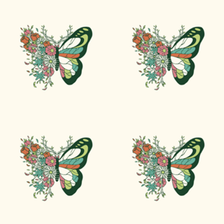 Nature Butterfly Metamorphosis