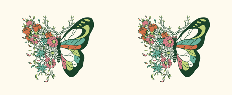 Nature Butterfly Metamorphosis