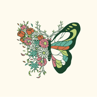 Nature Butterfly Metamorphosis