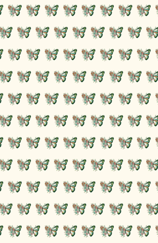 Nature Butterfly Metamorphosis
