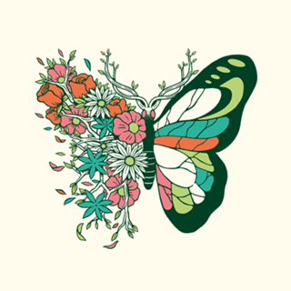 Nature Butterfly Metamorphosis