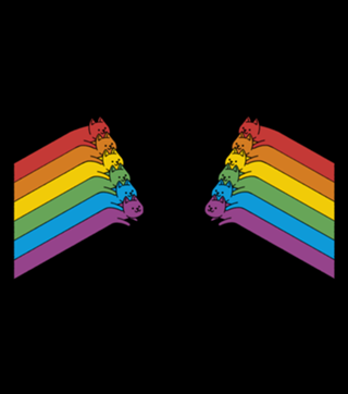 Flying Rainbow Cats Lines