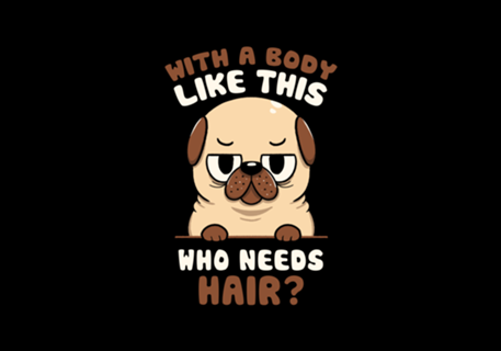 Bald Pug Funny Dog