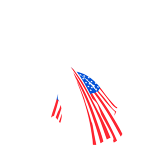 American Flag Liberty Statue Cat