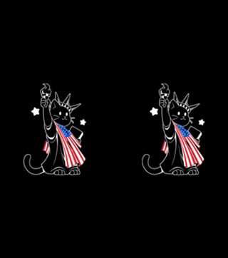 American Flag Liberty Statue Cat