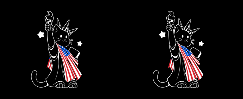 American Flag Liberty Statue Cat