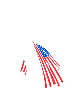 American Flag Liberty Statue Cat