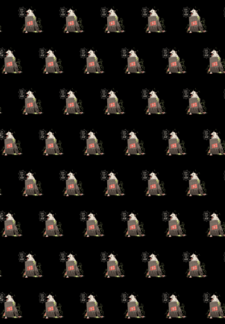 Please Follow and Subscribe Opossum