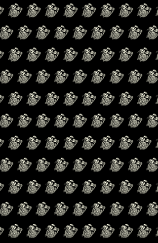 There is no Scape Skeleton