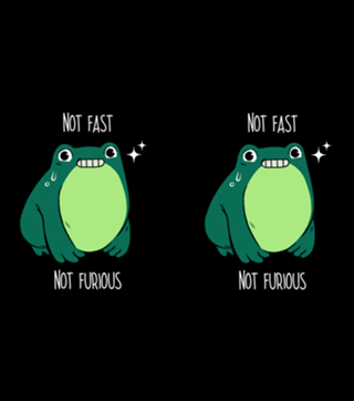 Not Fast Not Furious Frog