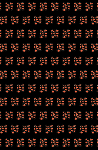 Pumpkin Halloween Cats