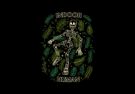 Ferns Indoor Human Skull