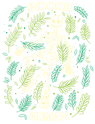 Ferns Indoor Human Skull
