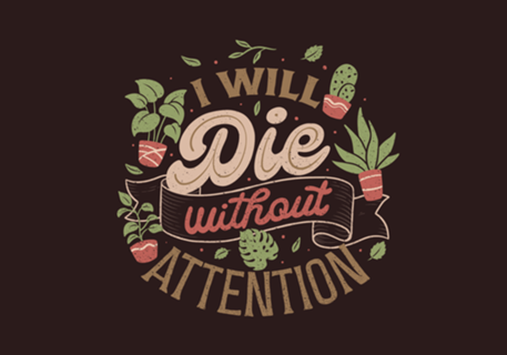 I Will Die Without Attention