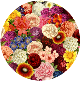 Spring Explosion