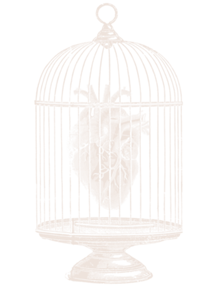 Free My Heart