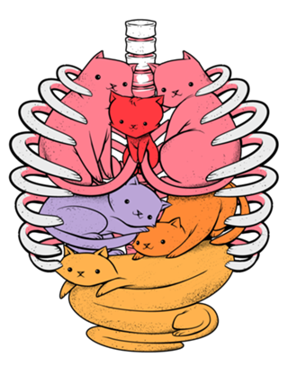 Anatomicat II