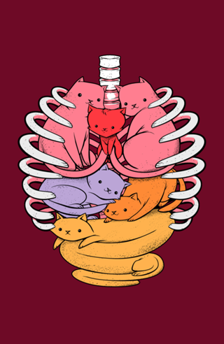 Anatomicat II