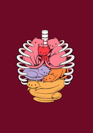 Anatomicat II