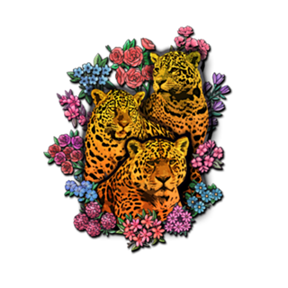 Onças Floridas