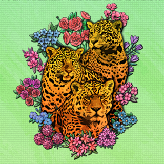 Onças Floridas