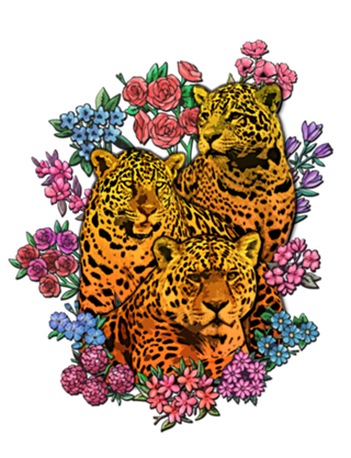 Onças Floridas