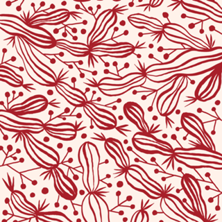 Mandacaru vermelho