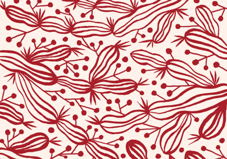 Mandacaru vermelho
