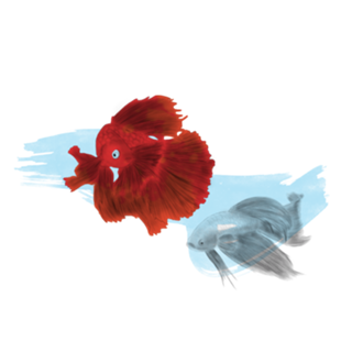Peixes
